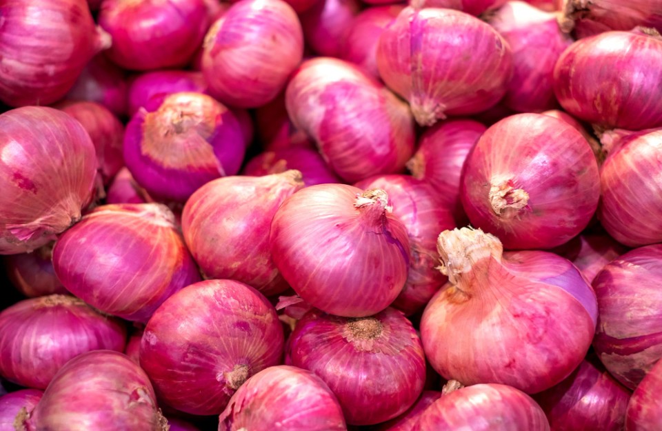 loader Onion Prices Might increase, Nashik Onion Market Opened After 23 Days, Know on khetivyapar