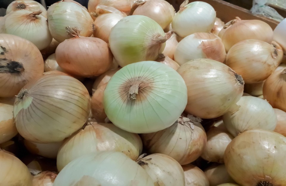 loader Government has Granted Permission for the Export of 2,000 Metric Tons of White Onions From three Ports, Know on khetivyapar