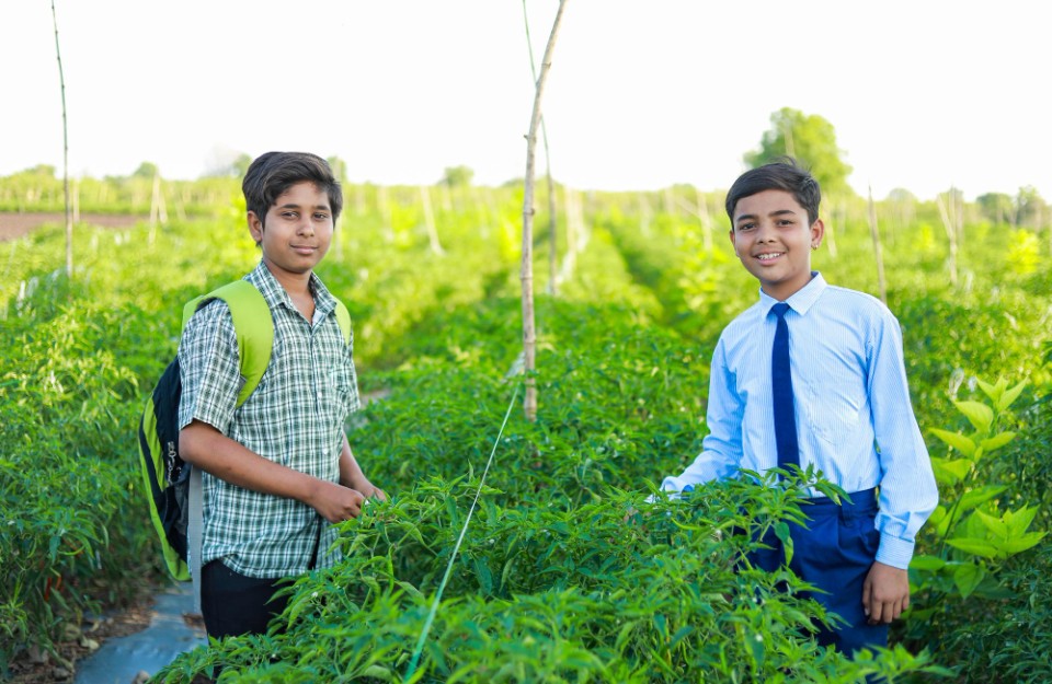 12वीं के बाद कृषि क्षेत्र में करियर बनाने की सोच रहे हैं तो इस रिपोर्ट को जरूर पढ़ें, आइए Khetivyapar पर जानें