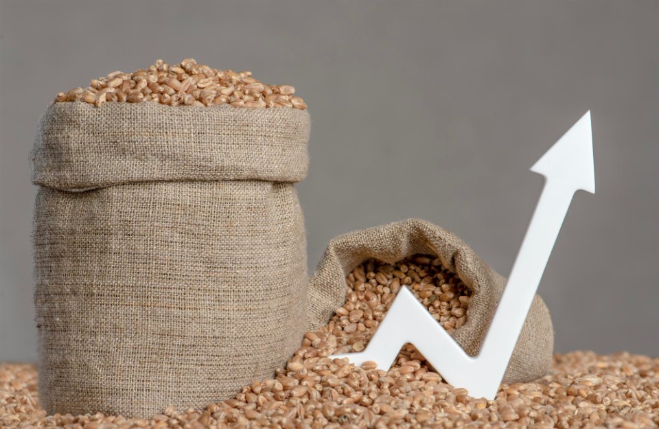 loader Global Wheat Prices Today in Hindi: 26 अप्रैल को ग्लोबल मार्केट में गेहूं के भाव में आया जबरदस्त उछाल, आइए Khetivyapar पर जानें