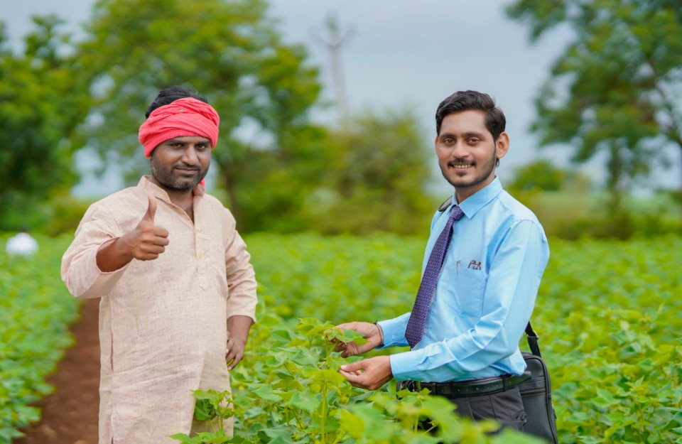 loader How to Apply to Uttar Pradesh Top Five Agricultural Universities, Know on khetivyapar