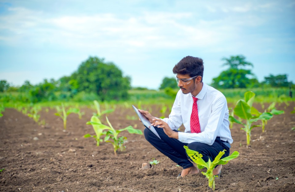 loader सामान्य से बेहतर दक्षिण-पश्चिम मानसून की संभावना भारत के कृषि क्षेत्र के लिए उम्मीद लेकर आई है, Geojit insights की रिपोर्ट