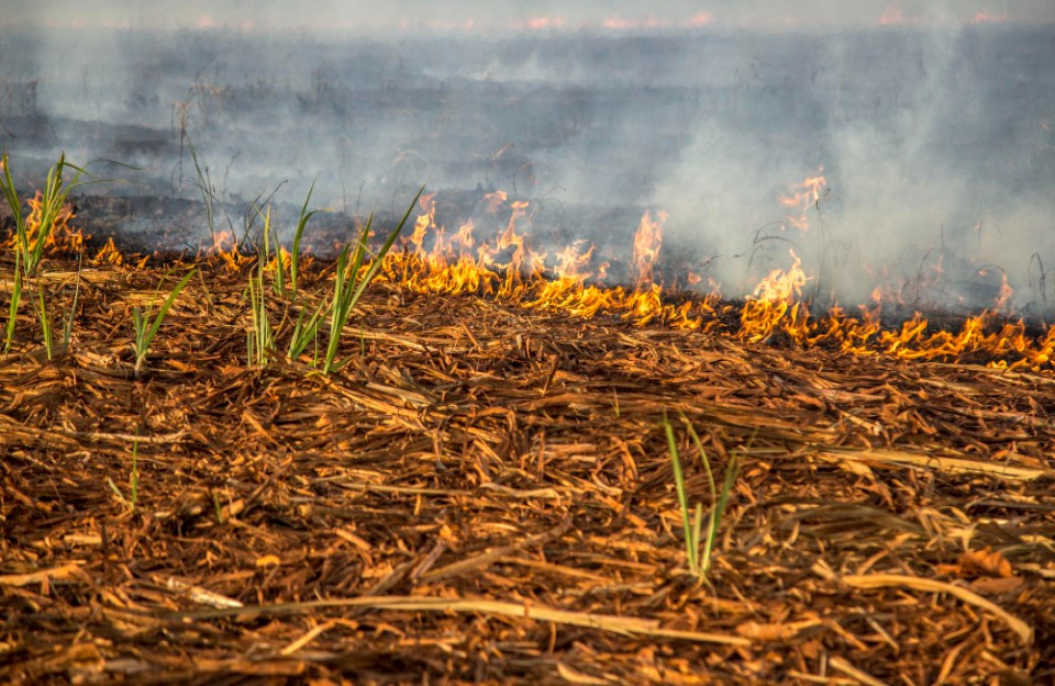 loader Post harvest crop burning has detrimental effect both on environment and farmers